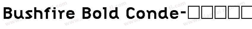 Bushfire Bold Conde字体转换